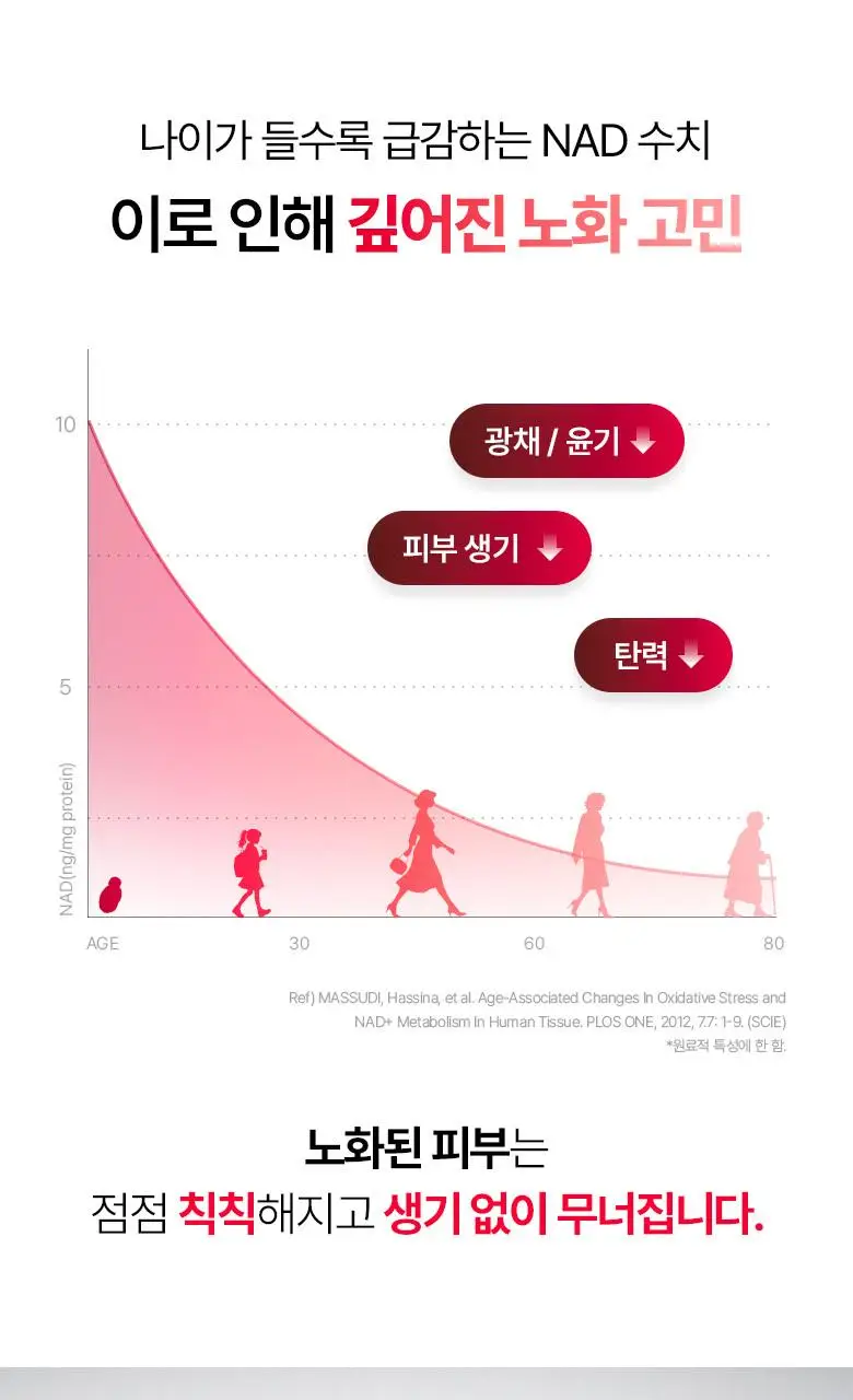 [속광|광채크림] 바이오힐보 NAD 프리즈셀 글로우 부스트 크림 50ml 상세페이지 4